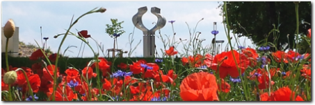 Dr. Walter Holzinger: „Die Spiegelung“ hinter Blumenwiese Mohnblumenwiese